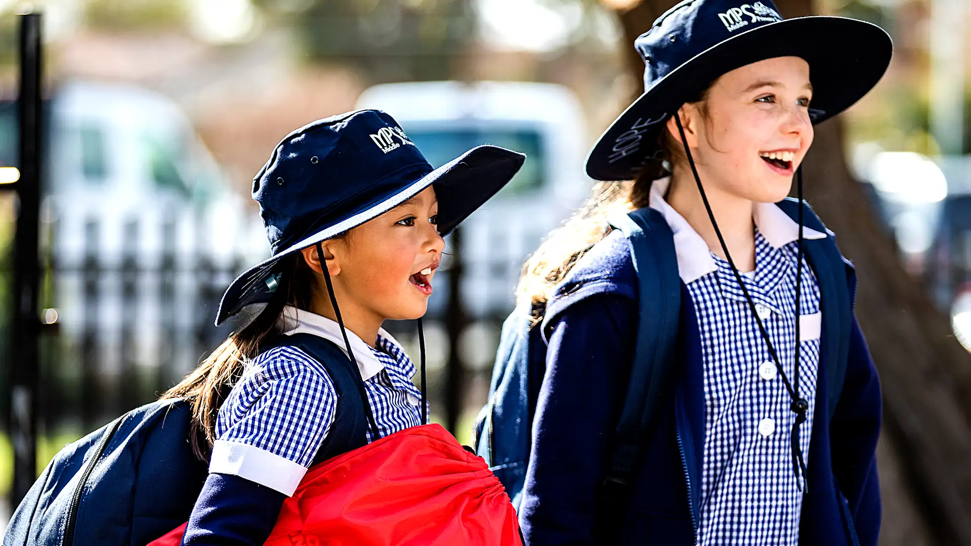 The Case of the Misplaced Mug / The Case of the Sad Little Sister