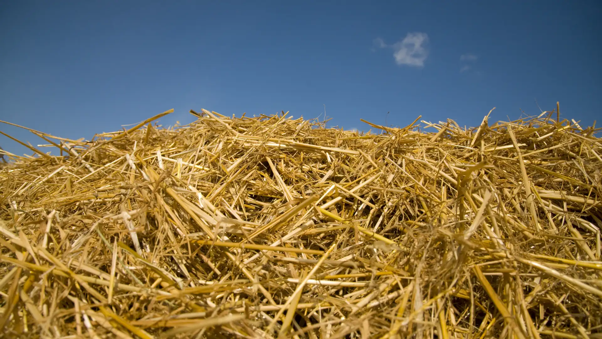 EXTRA: "Rumpelstiltskin Rap" by the Storycrafters