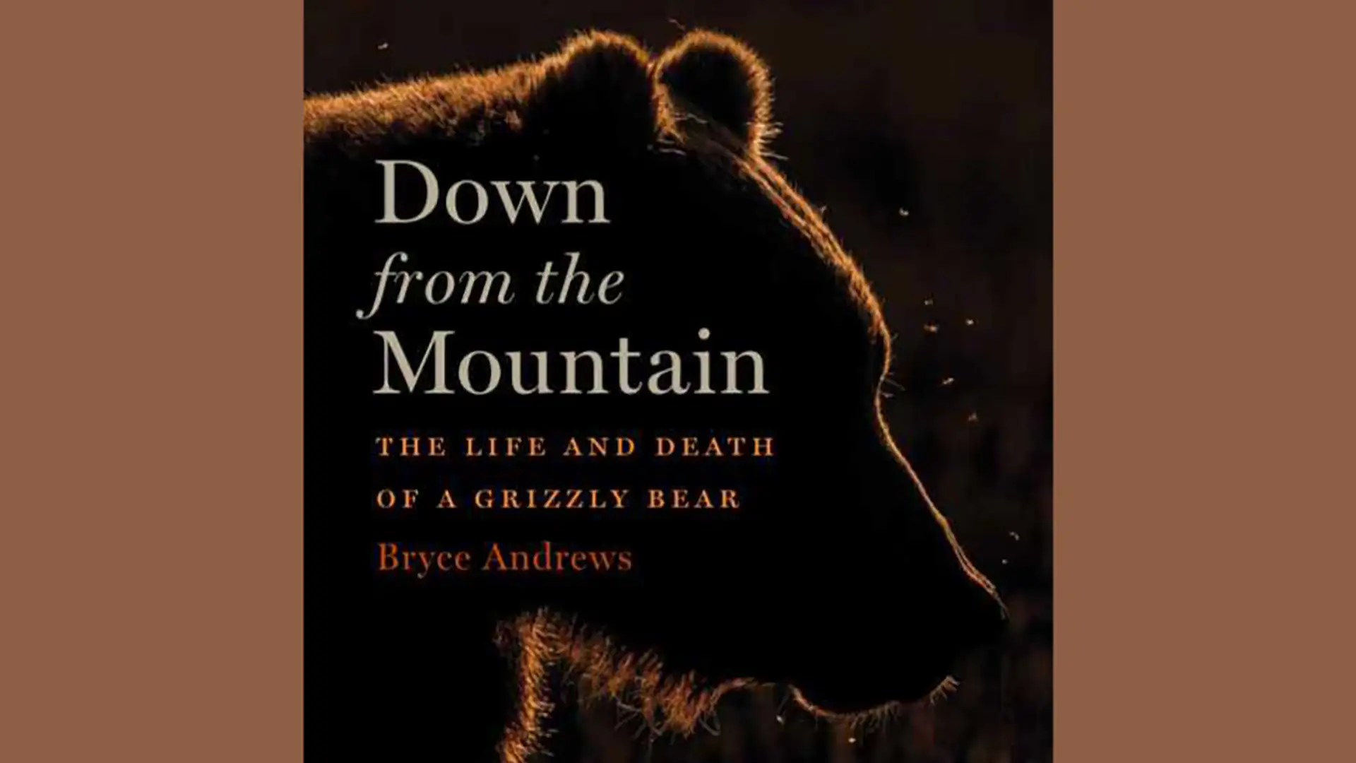 The Life and Death of a Grizzly Bear