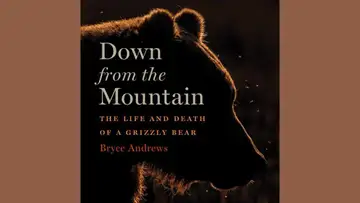 The Life and Death of a Grizzly Bear