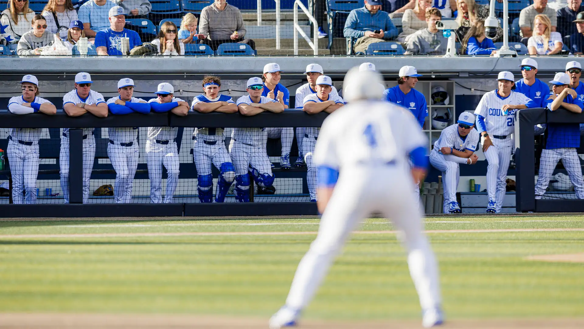 A Year to Remember: 2024-25 in the Books