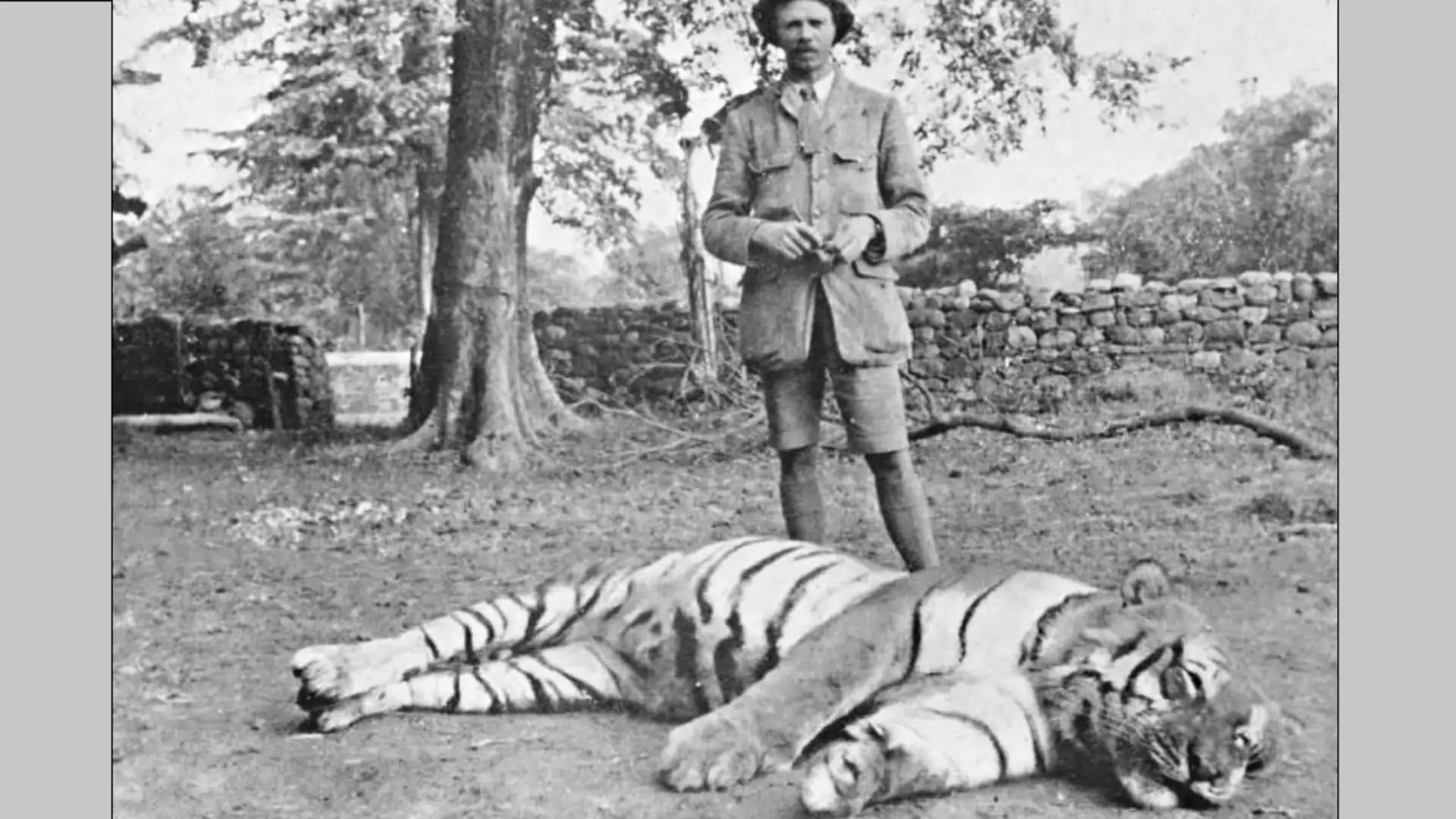 The Man-Eating Tiger of Champawat