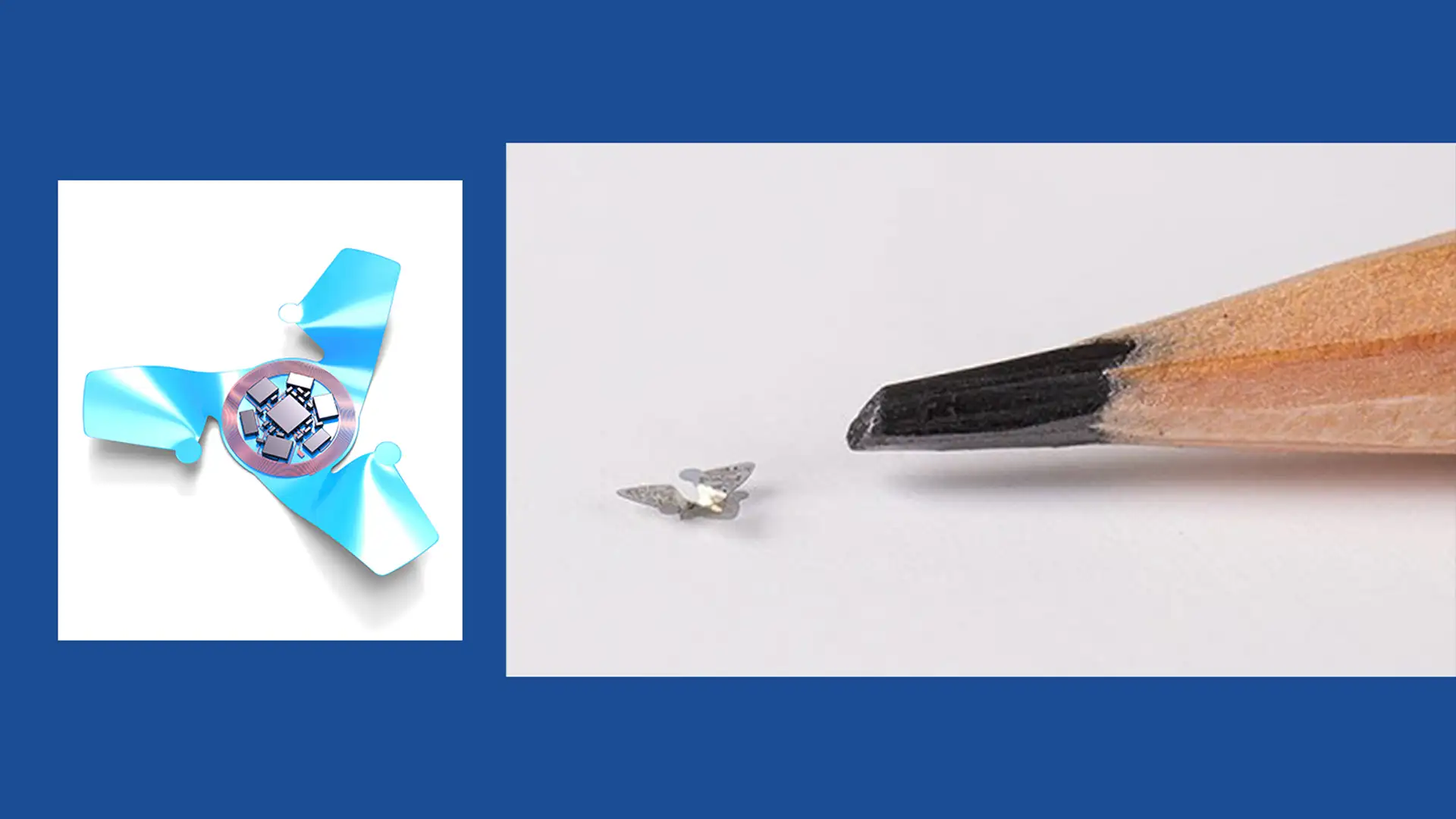 Flying Microchips Modeled on Tree Seed Pods