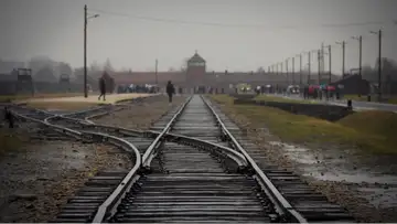 Holocaust Survivor