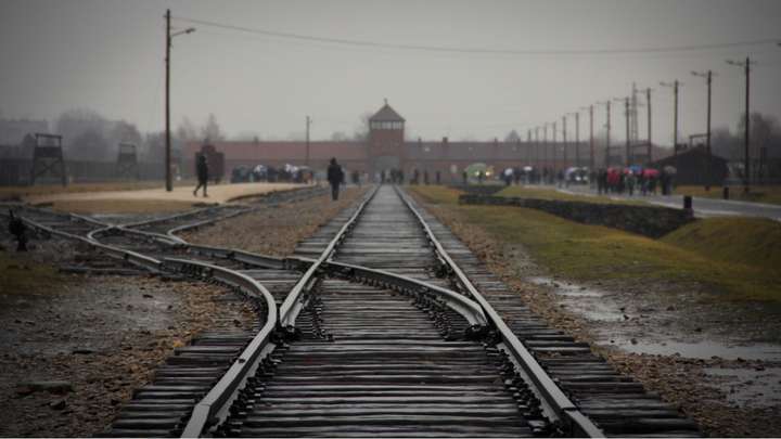 Holocaust Survivor