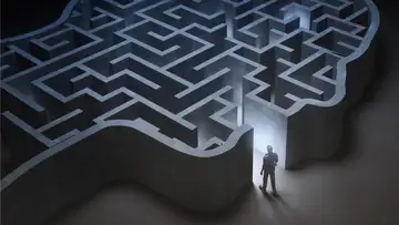 Mental Health Care for Prisoners
