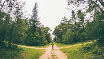 Making Choices