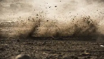 Dirt Is Good