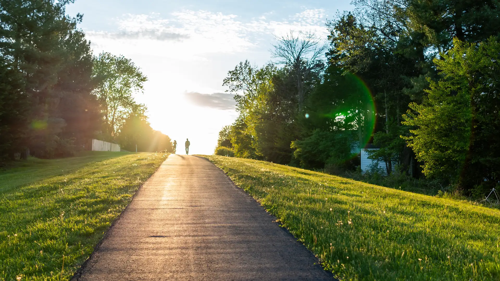 They Are Their Own Judges