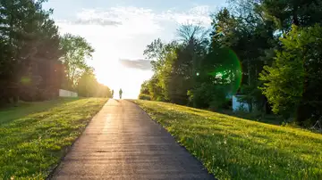 They Are Their Own Judges