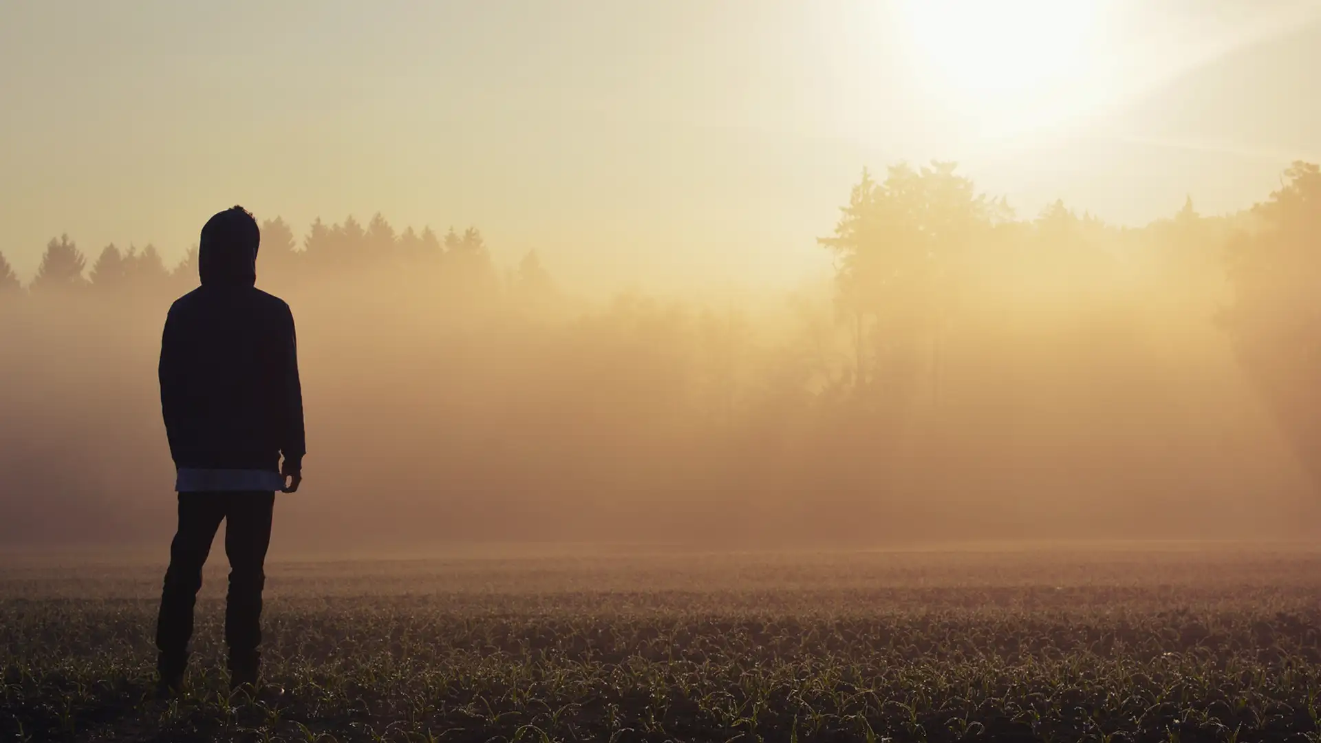 A Light in the Darkness