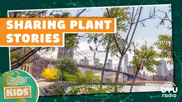 Sharing Plant Stories