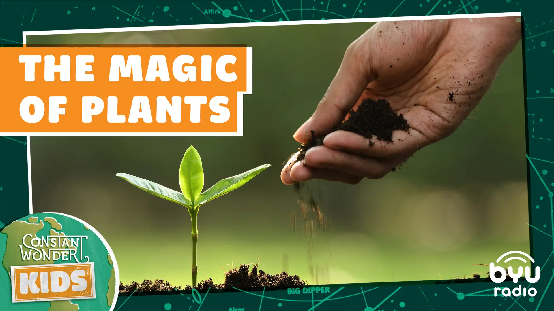 The Magic of Plants
