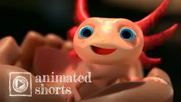 Animated Shorts
