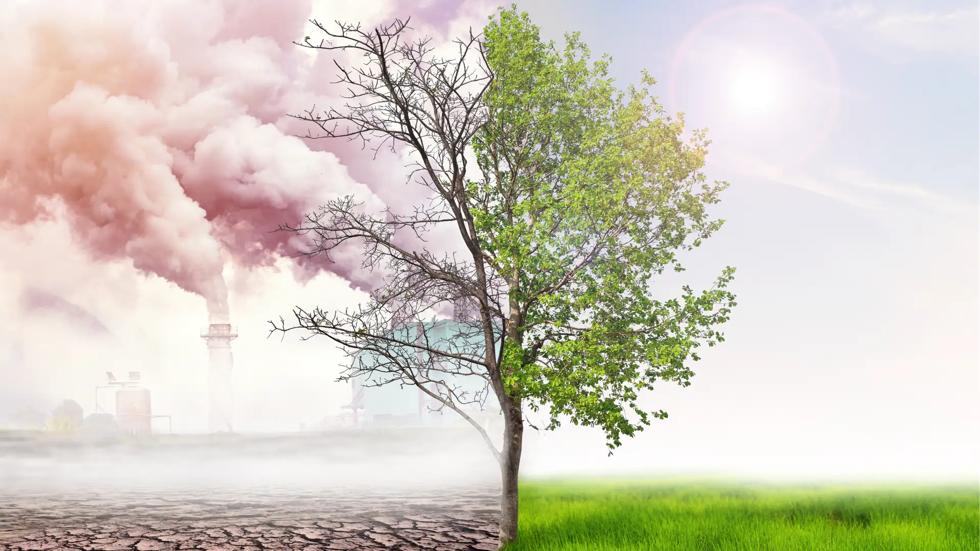 Who is Responsible for Combating Pollution?