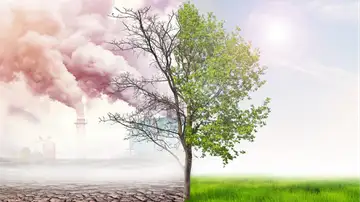 Who is Responsible for Combating Pollution?