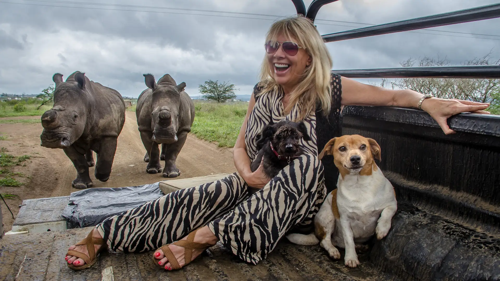 Love and Loss and Elephants