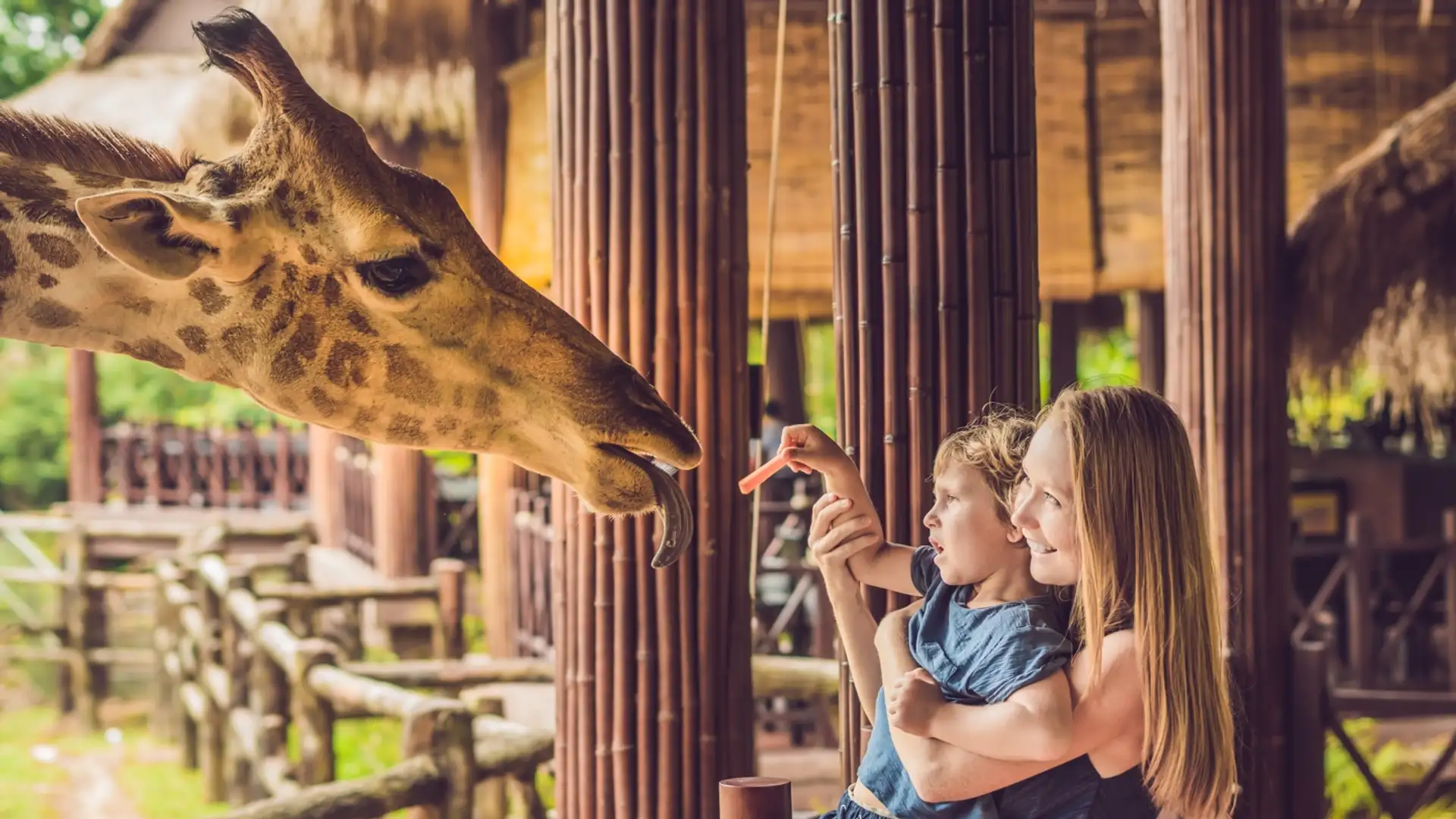 How the Law Protects Wild Animals