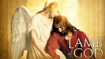 Lamb of God: The Concert Film