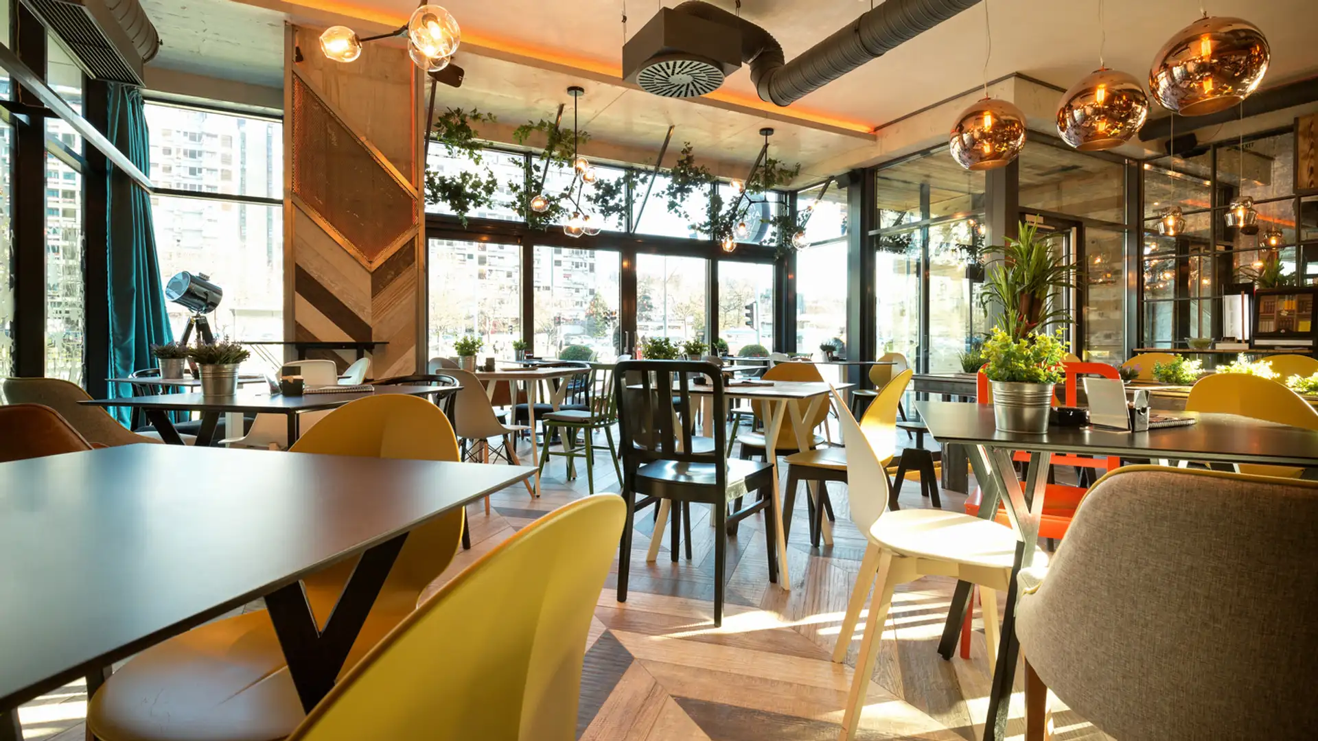 Food and Gentrification