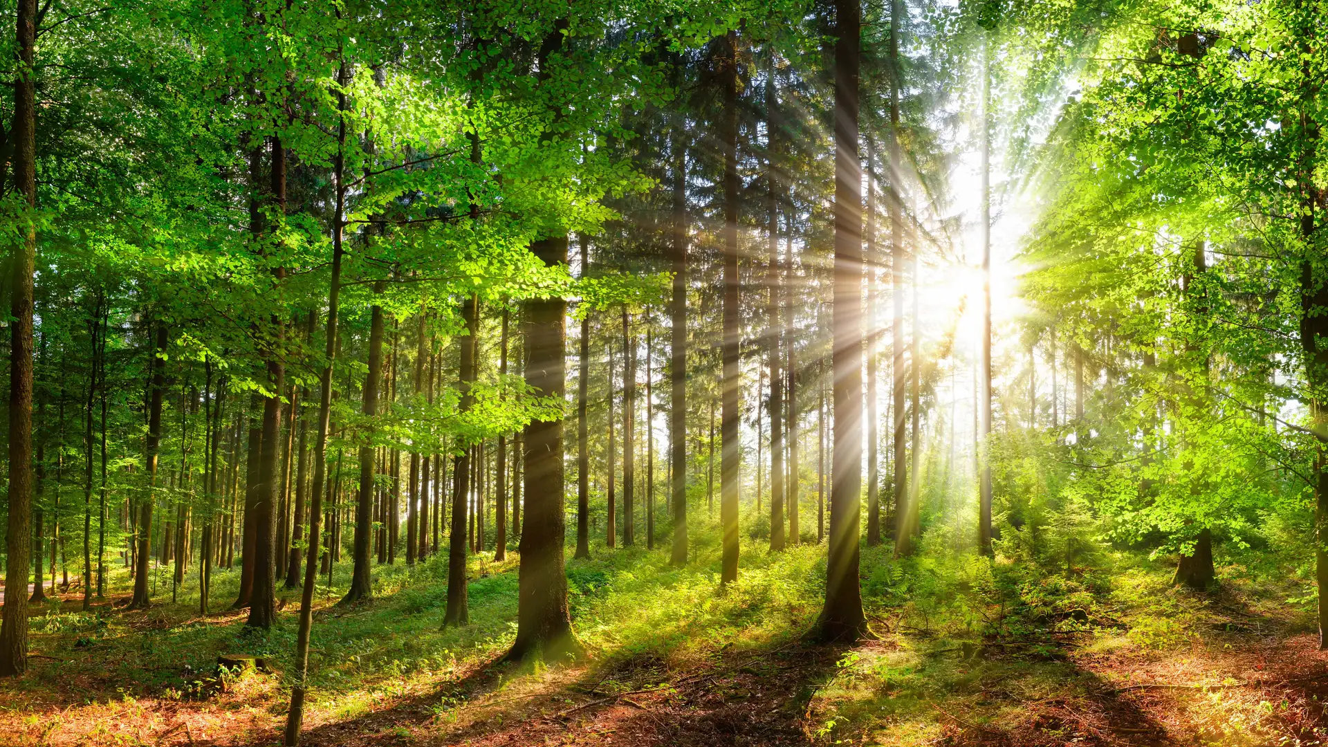 That All May Be Edified