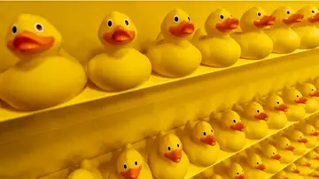 EXTRA: "Lucky Duck" by Connie Regan-Blake