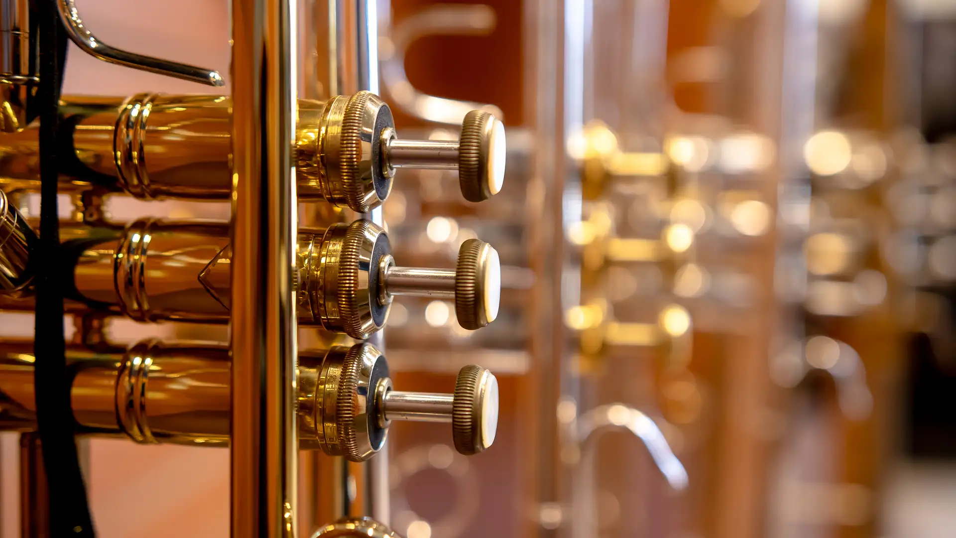 Lucien Barbarin, Gregg Stafford, and BYU Jazz Band