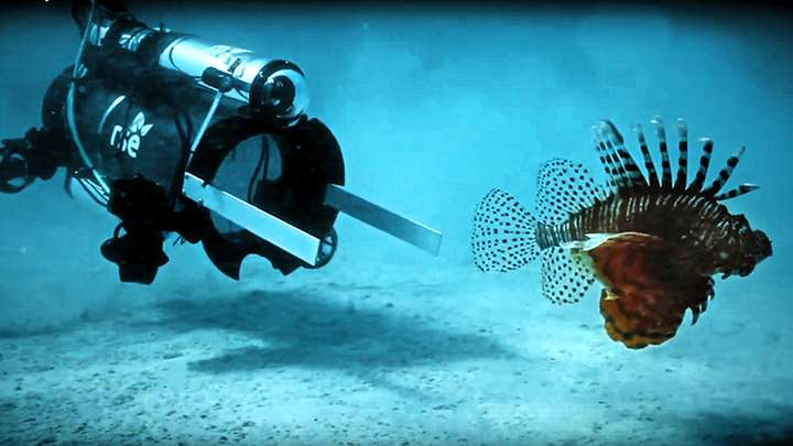 Women of the Bush Dynasty, Underwater Vacuum Robots