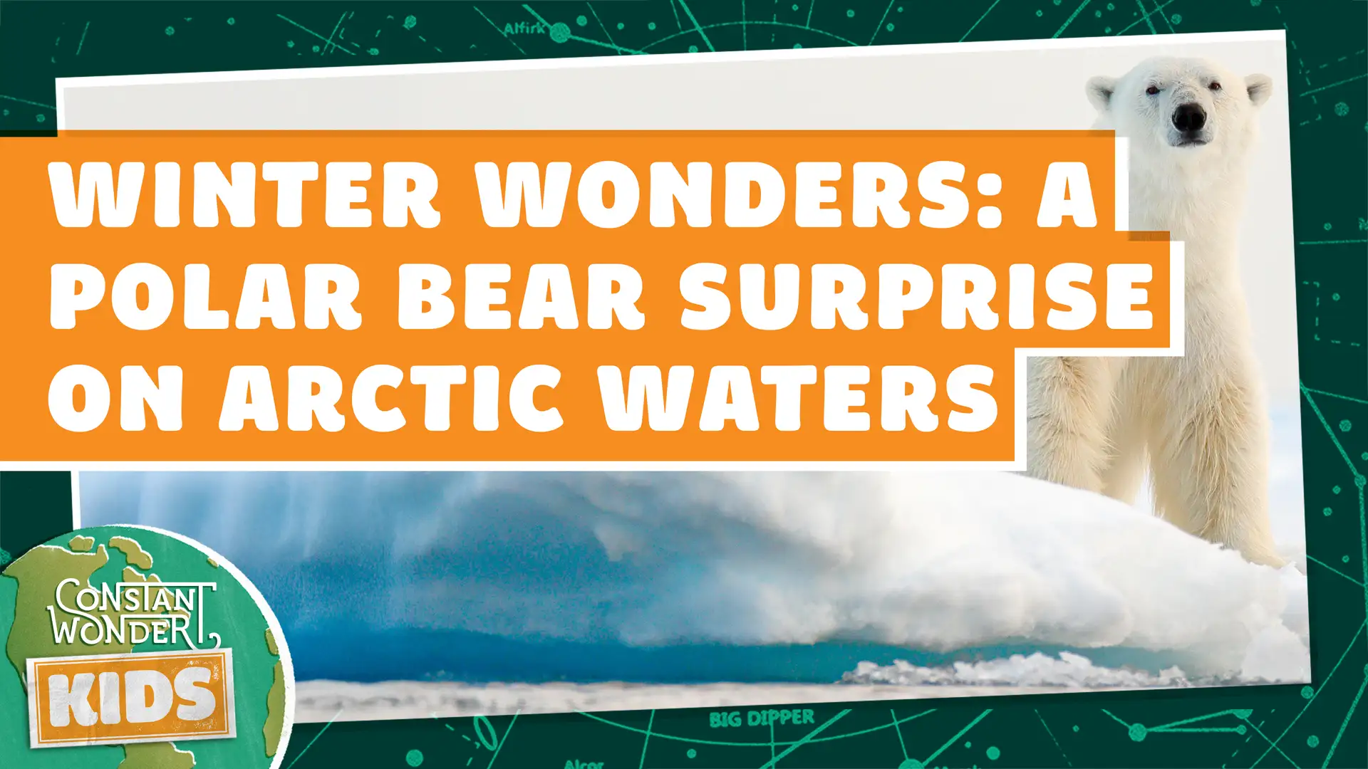 Winter Wonders: A Polar Bear Surprise on Arctic Waters