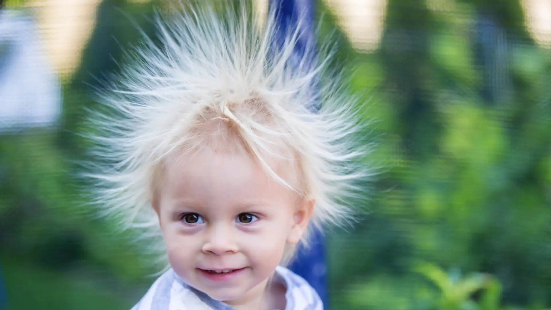 EXTRA **** "Why Kids are Not in Charge" by Susan Reed