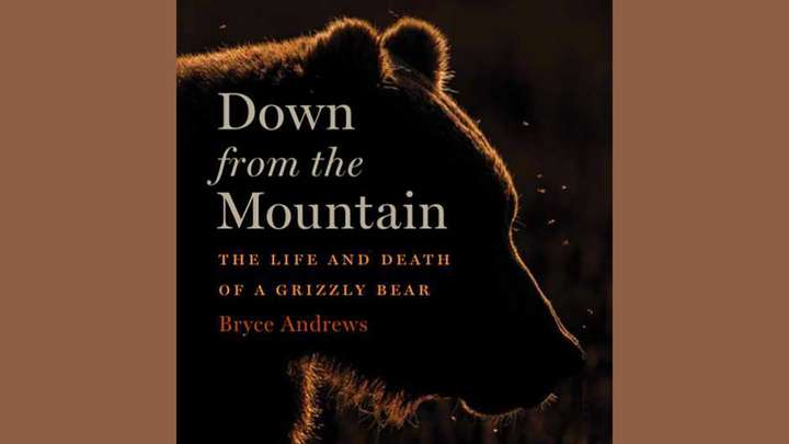 The Life and Death of a Grizzly Bear