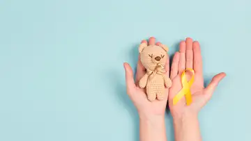 The Aslan Project