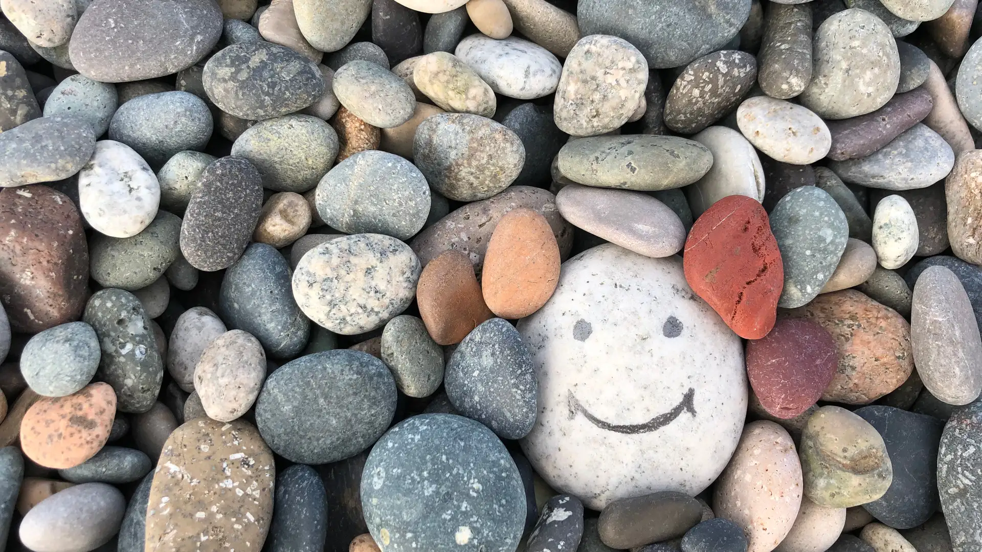 Three-Letter Lesson #7: JOY