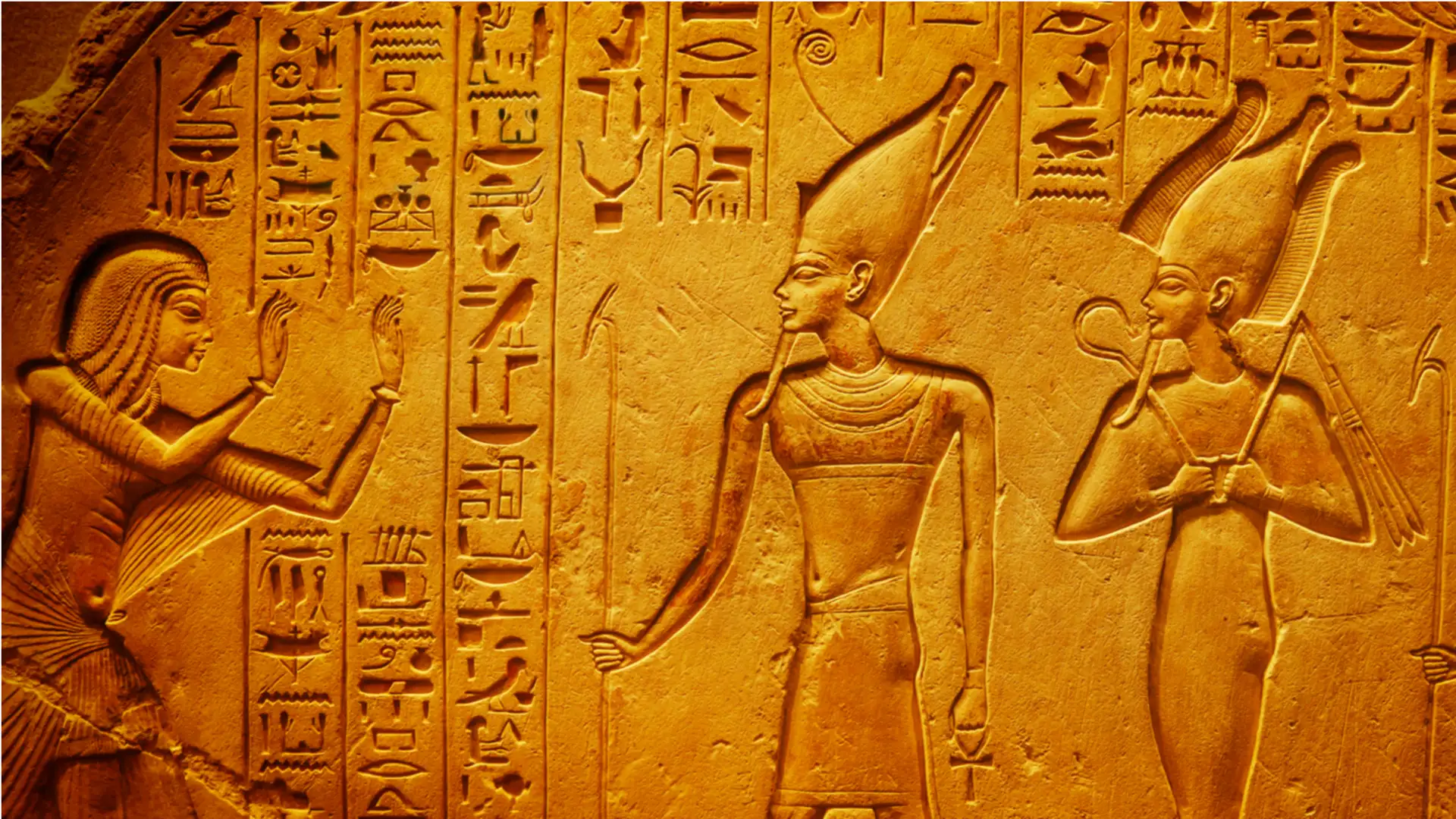 Wise King, Foolish King