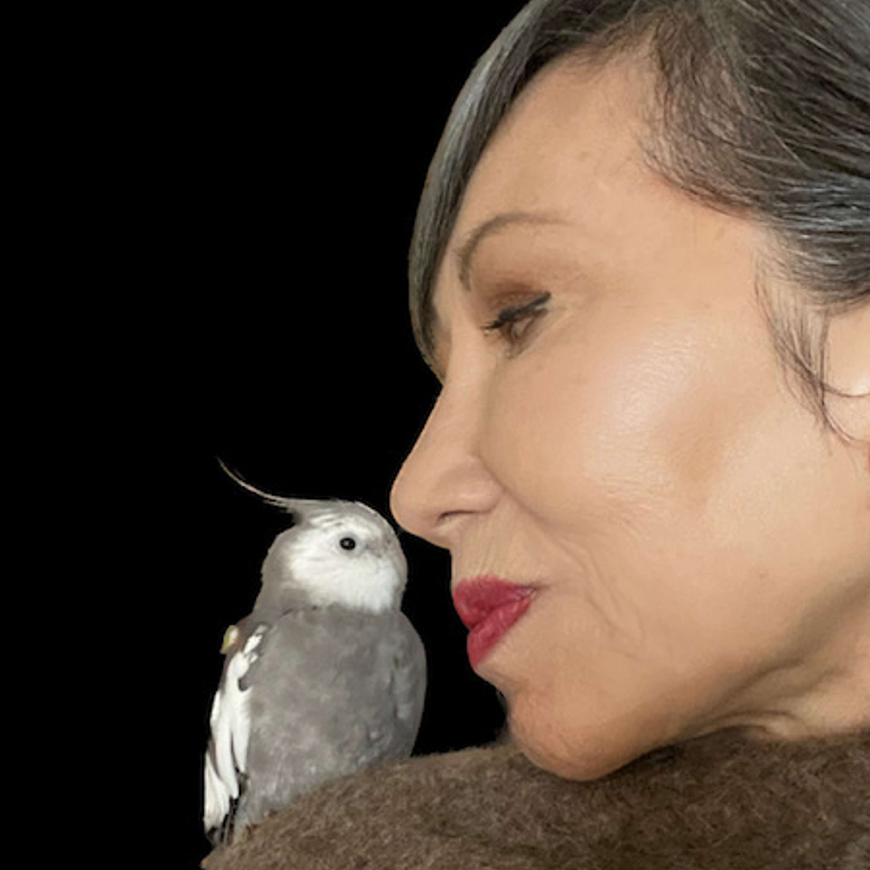 Finding Joy in Your Back Yard with Amy Tan