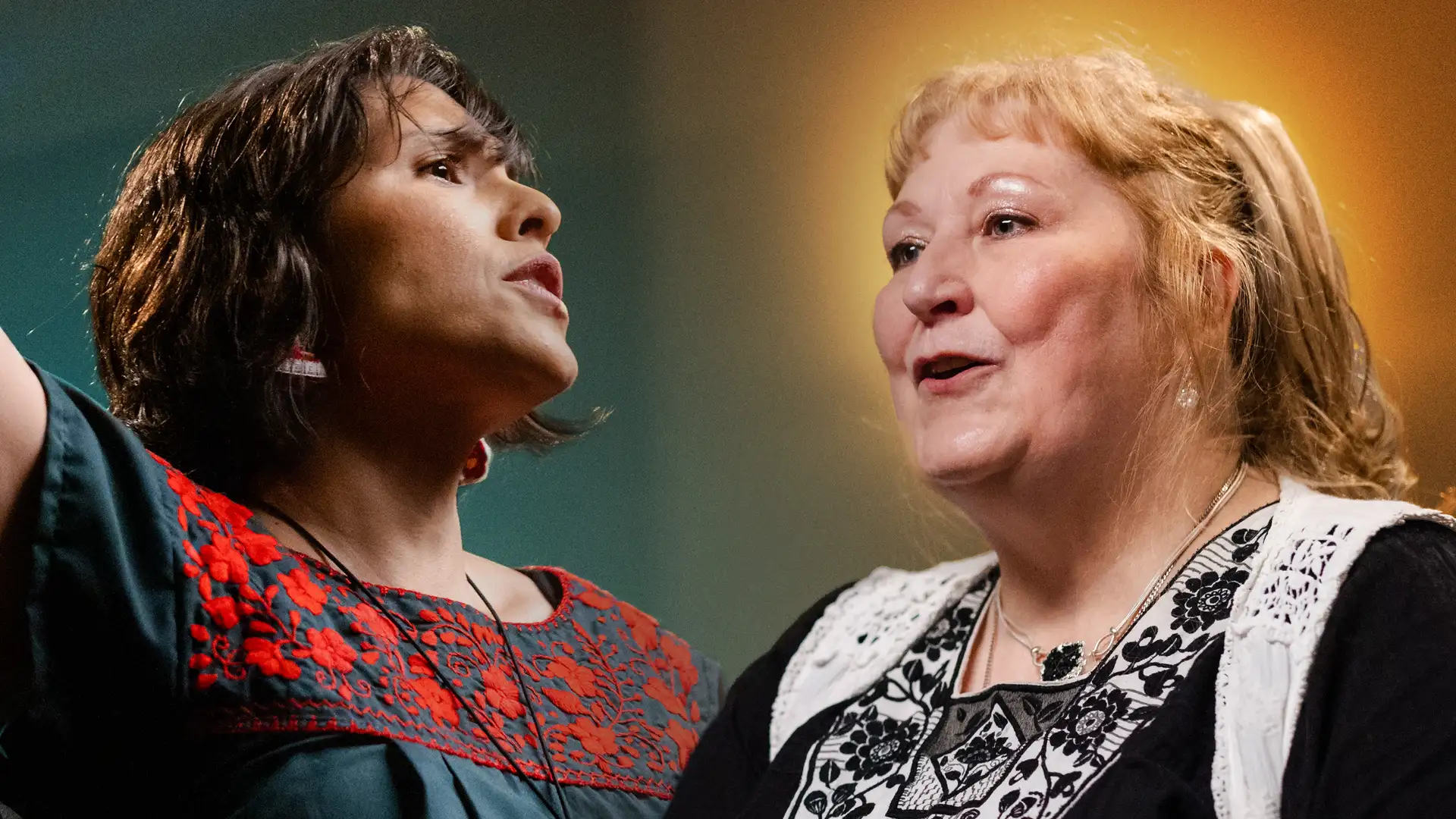 Healing - Stories for the Whole Family by Carolina and Shonaleigh