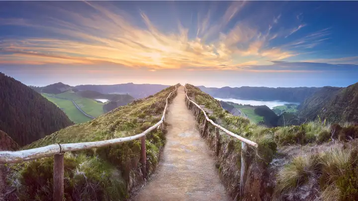 Finding Our Individual Path - Renata Tonks Forste