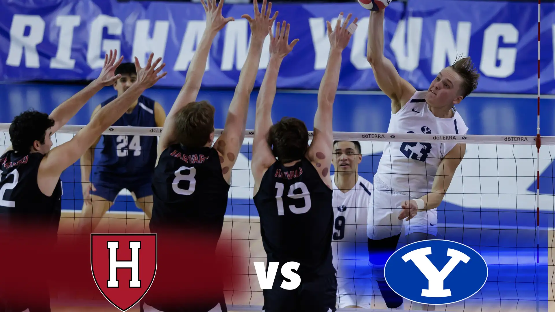Harvard vs BYU