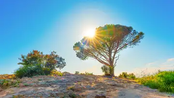 Brightness of Hope