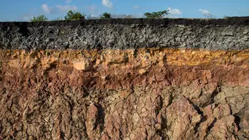 How Biocrust Holds It All Together