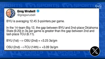 Cougar Whiparound 
