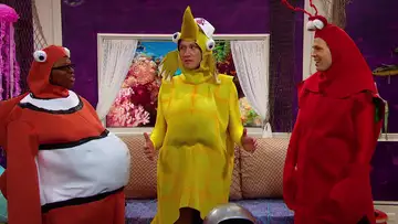 The Hard Life of a Male Seahorse