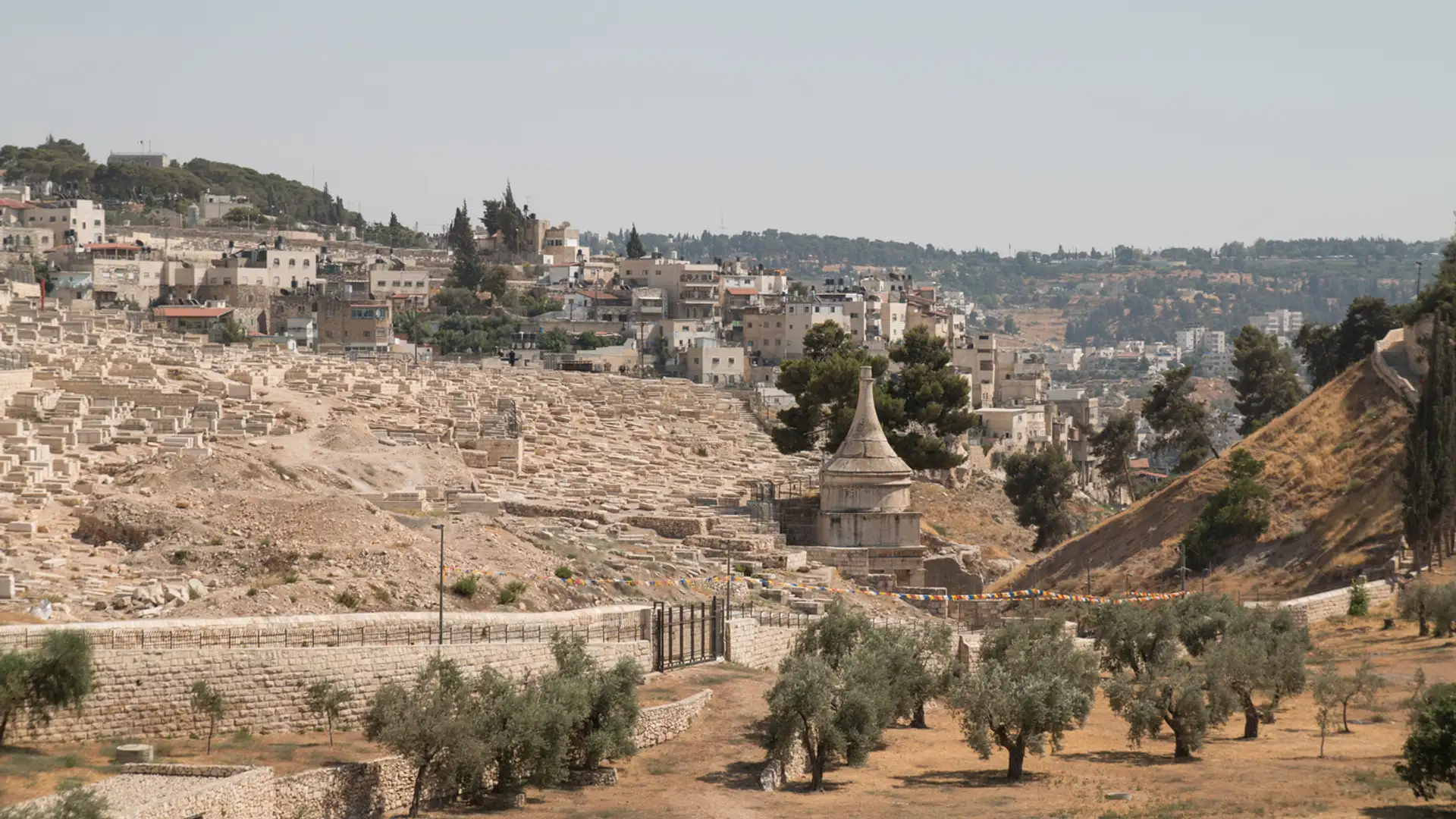 A Walk Toward Peace and Understanding in the Middle East