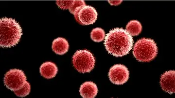 Microbes Absorbing Pollution