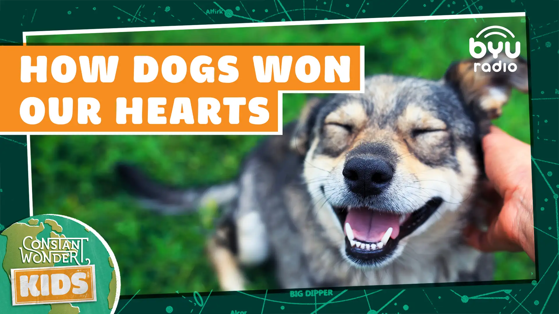 How Dogs Won Our Hearts