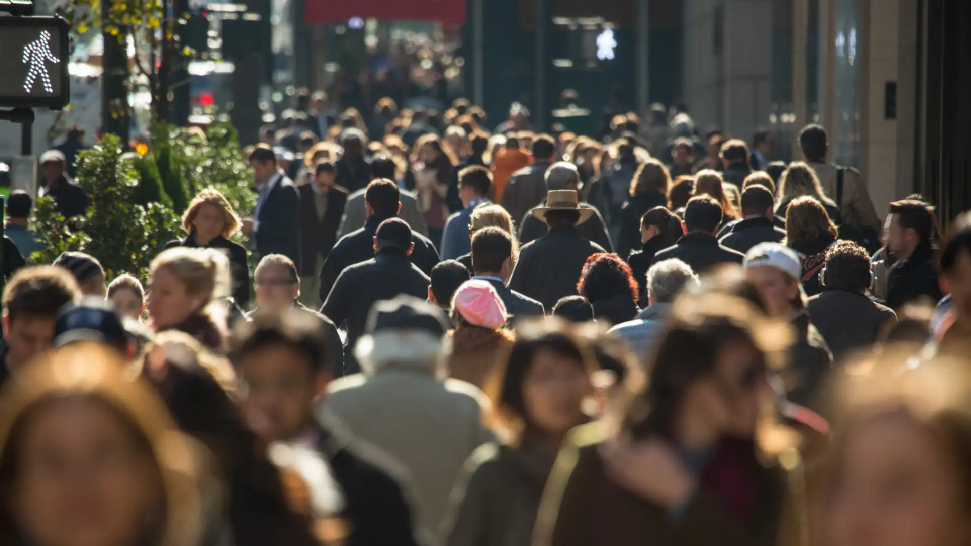 Walkable City Rules