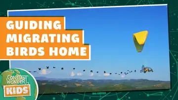 Guiding Migrating Birds Home