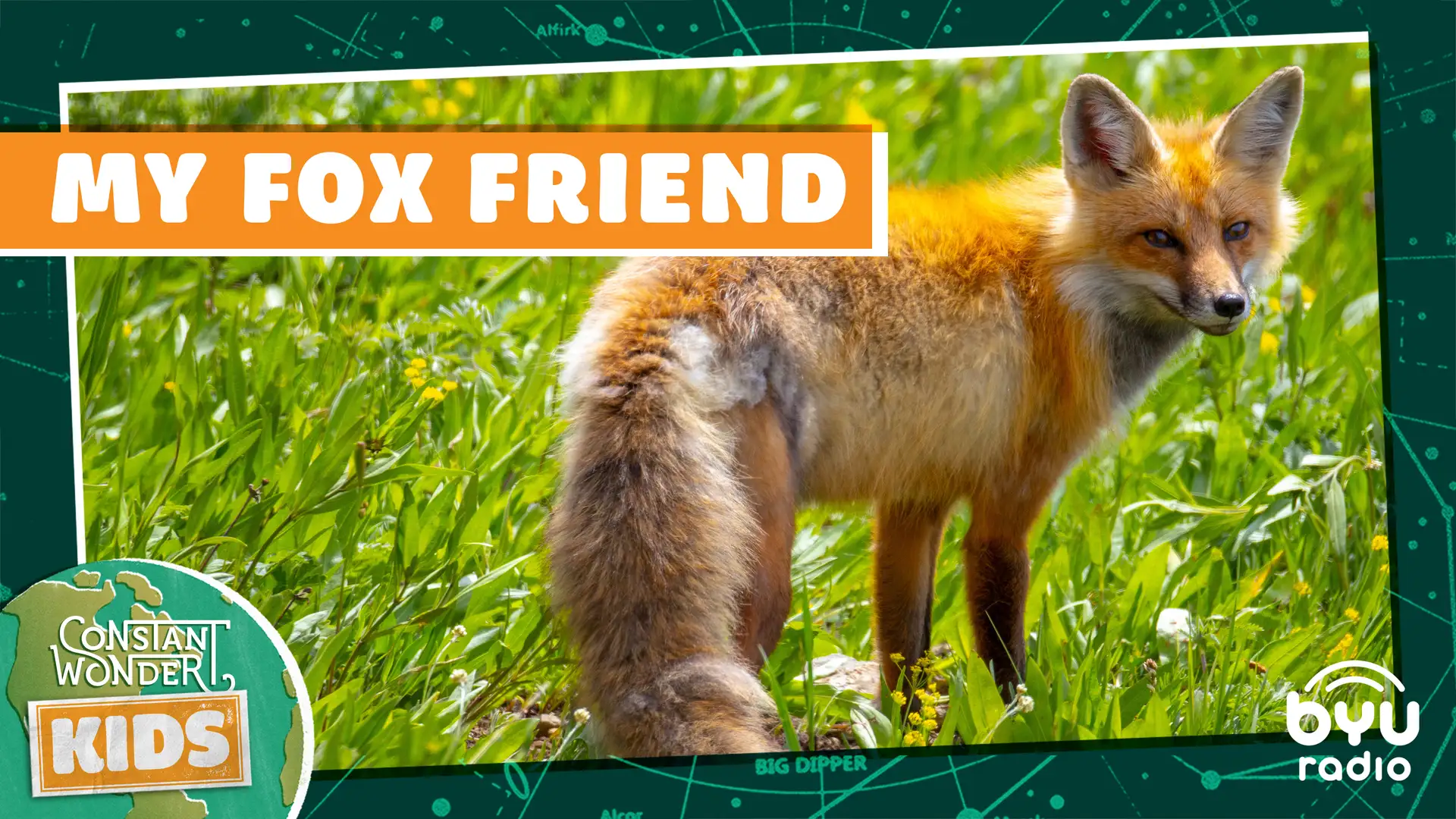 My Fox Friend