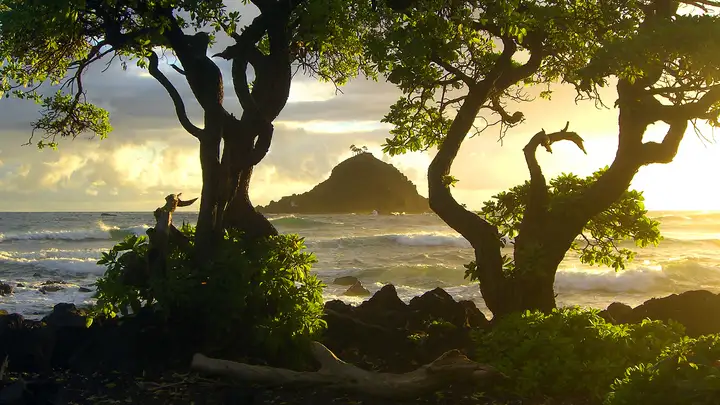 The Apple Seed Presents "Treasure Island 2020" - Episode 6