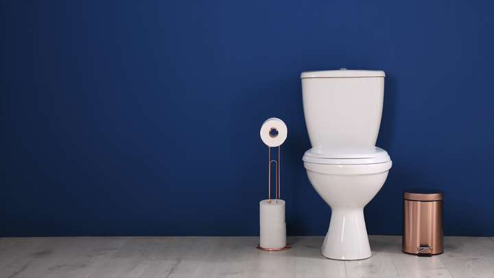 A Toilet Revolution